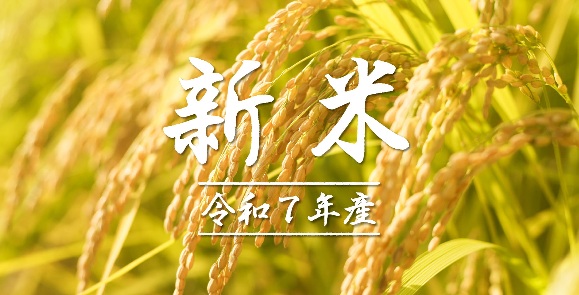 令和6年産 新米