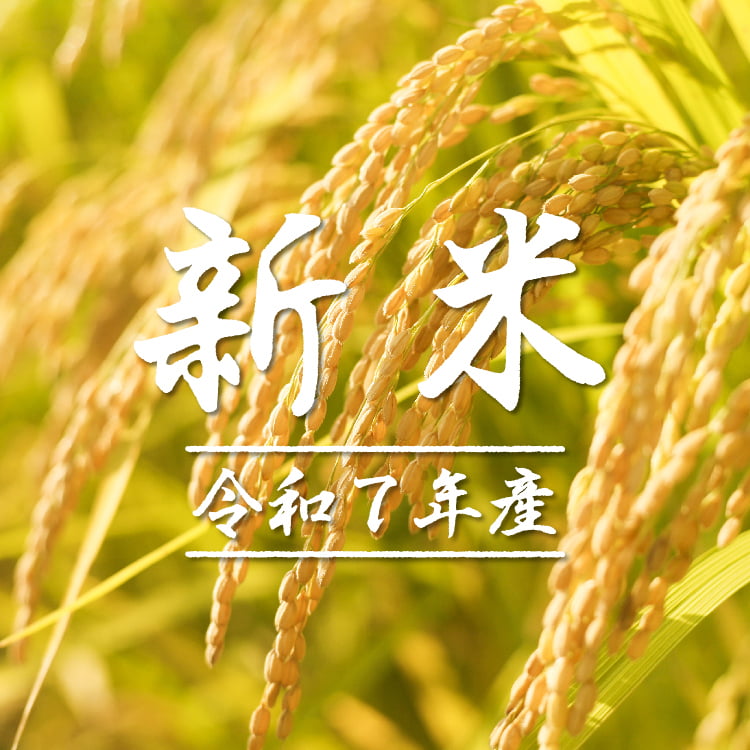令和7年産 新米