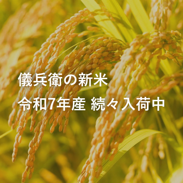 新米ギフト一覧