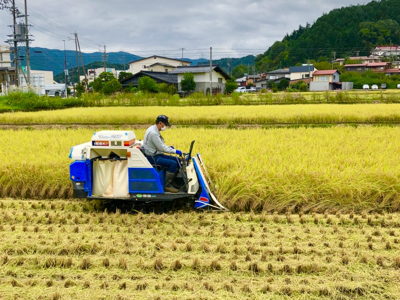 【番付受賞米シリーズ】稲へ畏敬の念を抱く、神職農家さんー未来に届けたい“世界一”のお米 | 八代目儀兵衛のWEBマガジン～おこめやノート